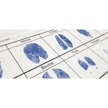 fb_animal_identification